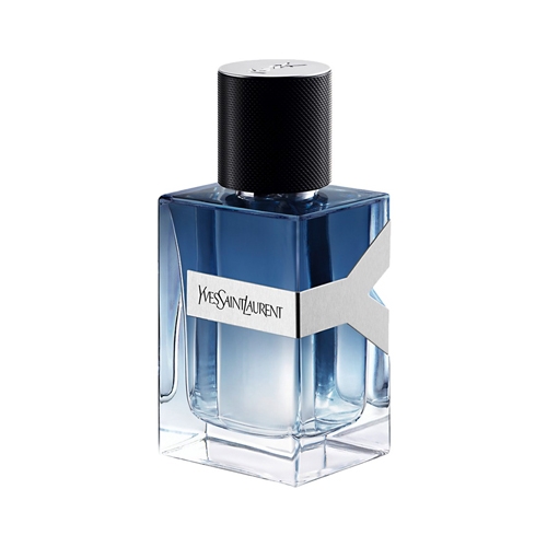 YSL Y Men Intense EDT 60ml